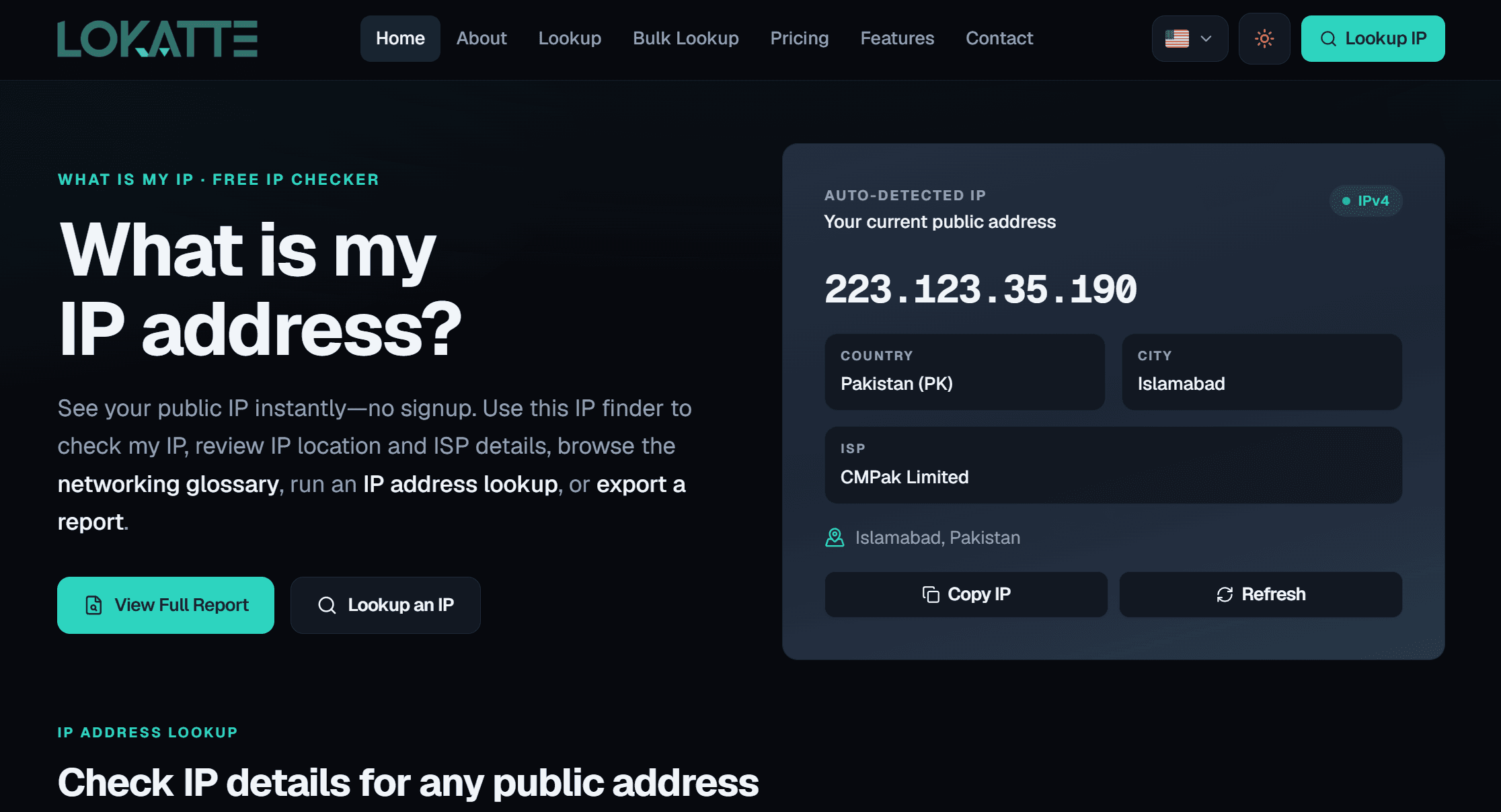 Lokatte IP lookup tool showing a public IP address with location and ISP details